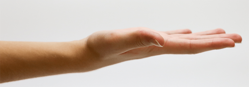 hands