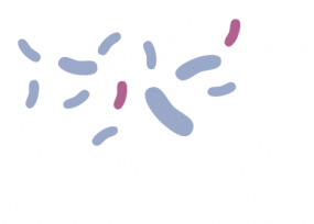 Icon shows lots of germs, a few are drug resistant.