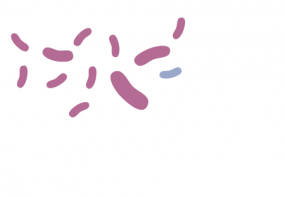 Icon shows the drug-resistant bacteria are now allowed to grow and take over.