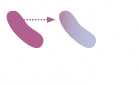 Icon shows that some baveria give their drug-resistance to other bacteria, causing more problems.