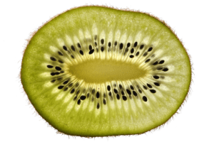 Pixabay